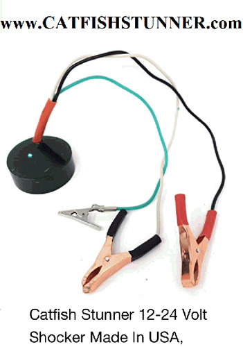 Catfish electro fisher - fisher, fish