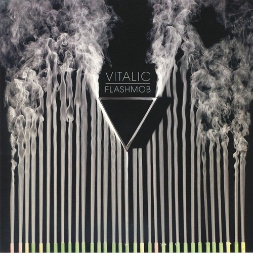 Vitalic flashmob - -,